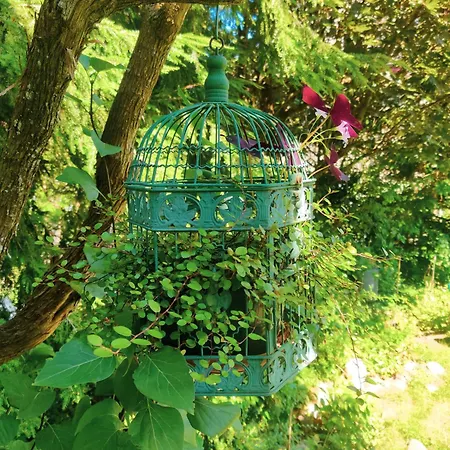 Bed And Breakfast Wildrose-3